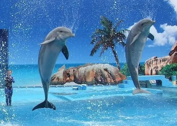 Appartement Mit Terrasse By Interhome *